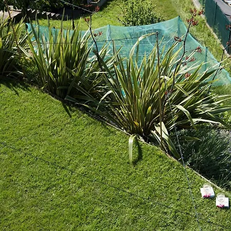 La Casa Di Emy Holiday home