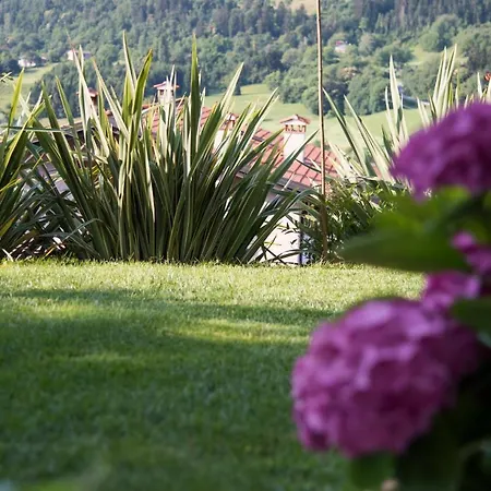 La Casa Di Emy Vakantiehuis Solto Collina