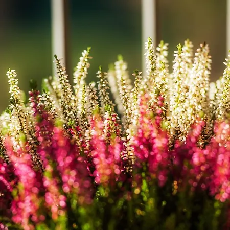 La Casa Di Emy * Solto Collina